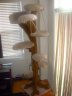 beige-tree